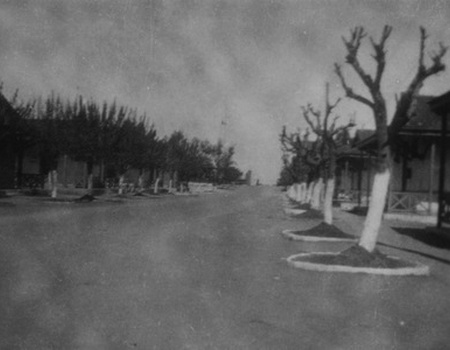 CFPNA: Camp Cazes - All&eacute;e Centrale - Coll° F Dronneau.